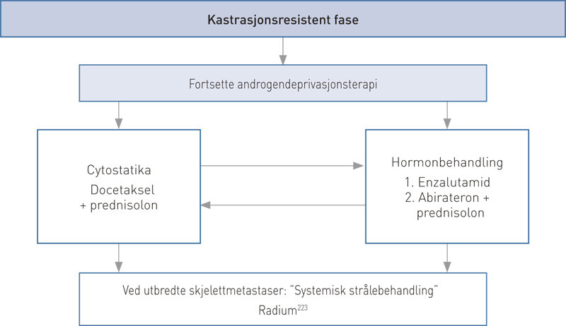 Figur 2  V&aring;rt forslag til behandlingsalgoritme for kastrasjonsresistent metastatisk prostatakreft. N&aring;r pasienten blir&hellip;