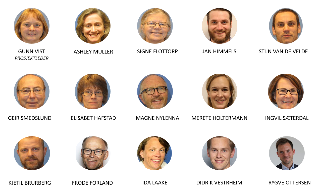 Hele arbeidsgruppen hos Folkehelseinstituttet som har jobbet med forskningskartet om covid-19. Foto/montasje: FHI