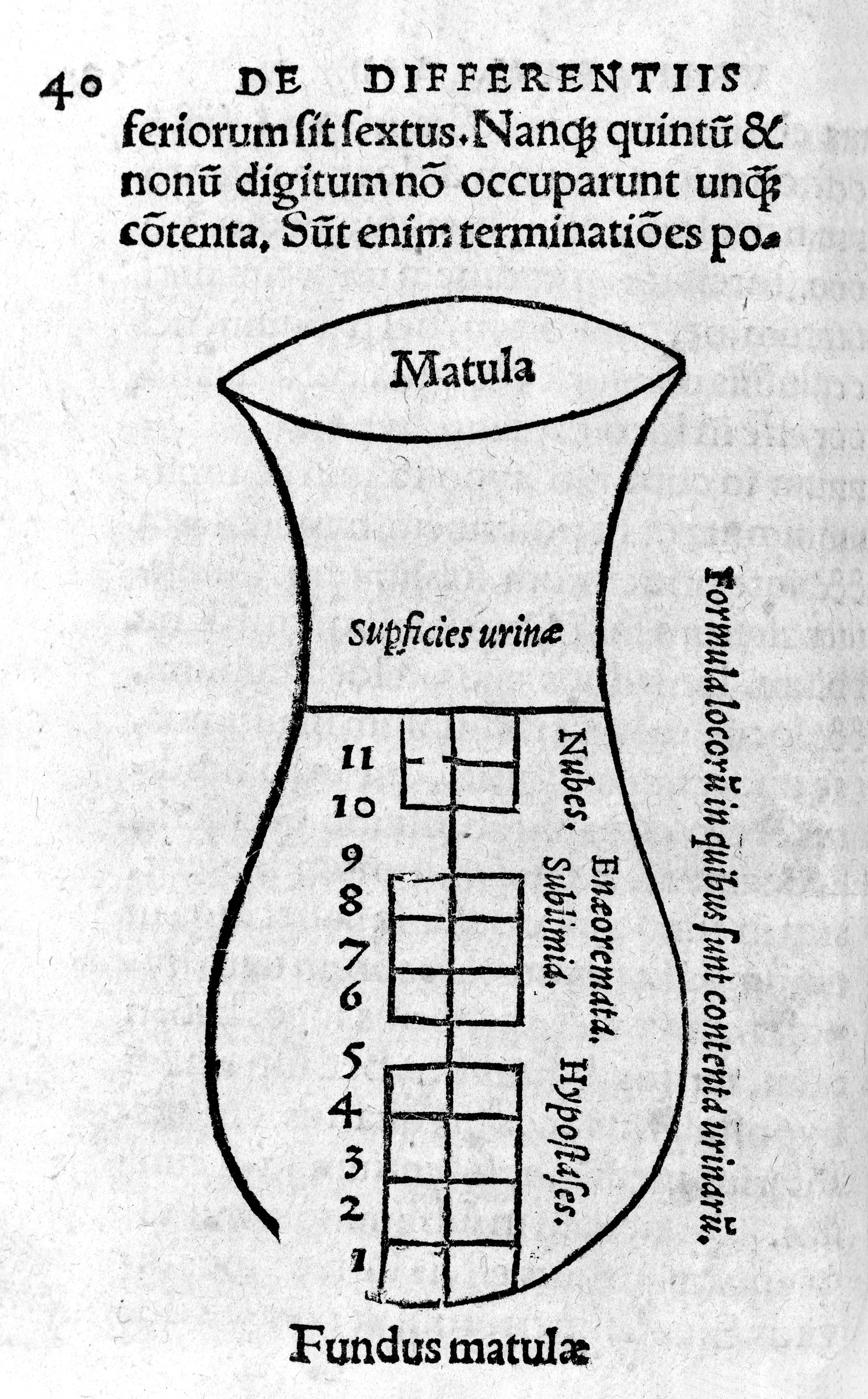 Figur 1 Den ideelle matula slik den er fremstilt i Johannes Actuarius&rsquo; &laquo;De urinis&raquo;. Foto: Wellcome Collection / Wellcome&hellip;