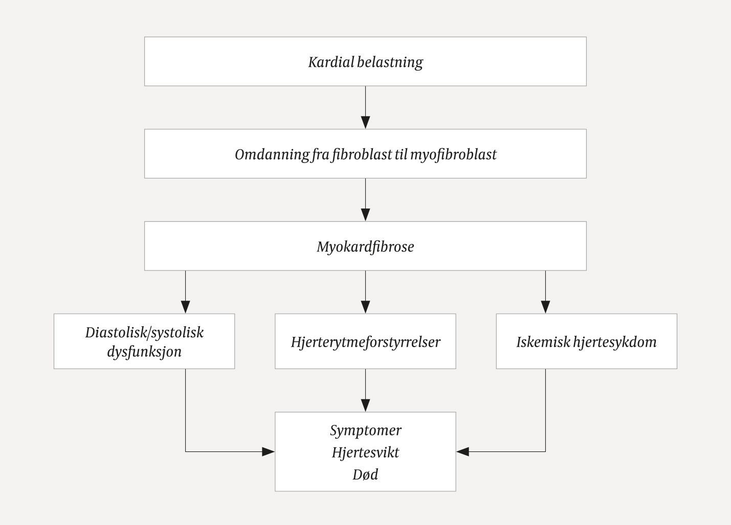 Figur 3 Myokardfibrose &ndash; patofysiologi og konsekvenser (utforming basert p&aring; artikkeltekst).