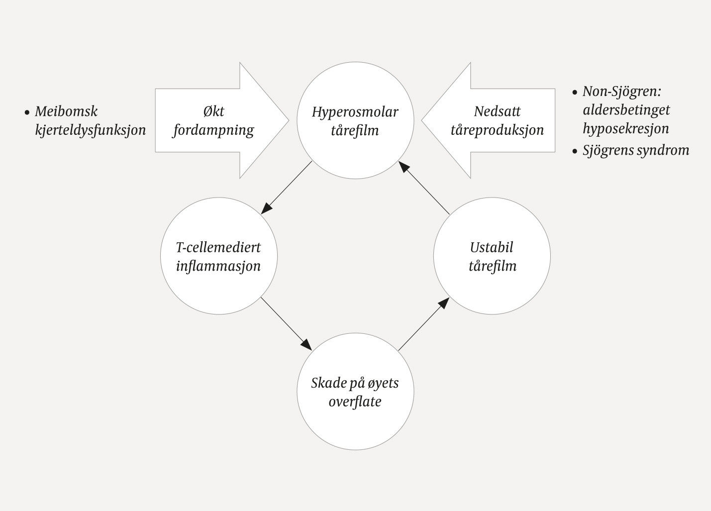 Figur 1 Patofysiologi ved t&oslash;rre &oslash;yne.