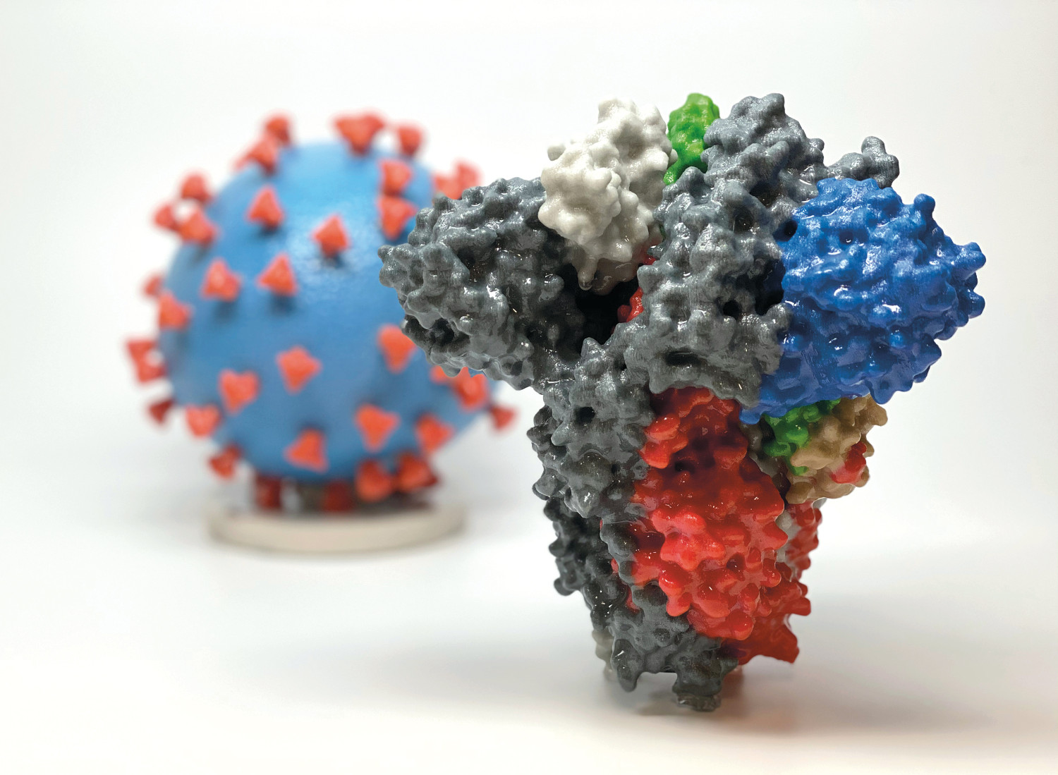 Figure 2 3D printed structural model of the spike protein (S) of SARS-CoV-2 viewed from the side. The S protein is the&hellip;