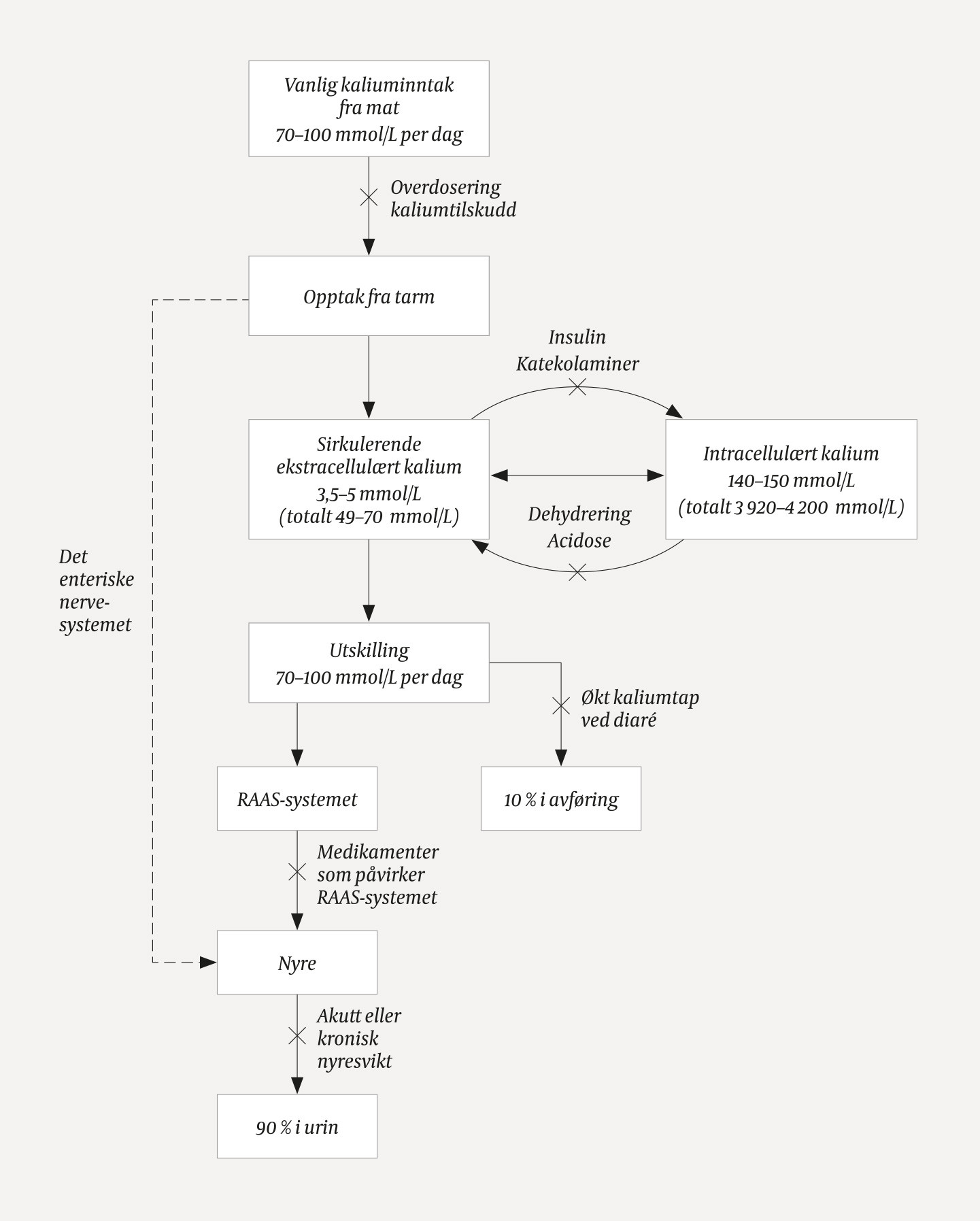 Figur 3 Kaliumhom&oslash;ostase. RAAS = renin-angiotensin-aldosteron-systemet