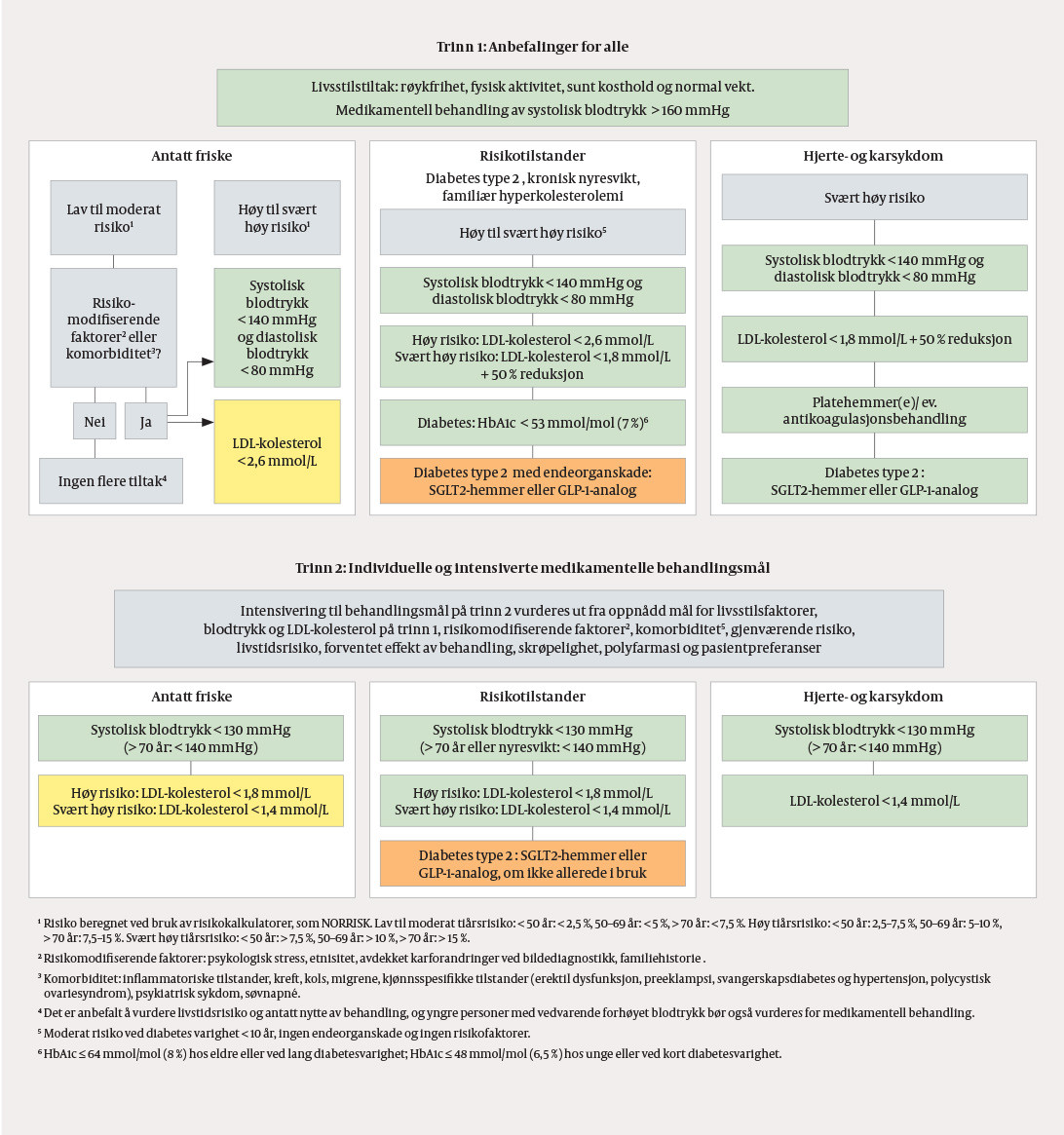 Figur 1 Klassifisering av risiko og oversikt over behandlingsm&aring;l i de nye retningslinjene (1).&nbsp;Gr&oslash;nn = klasse I-anbefaling,&hellip;