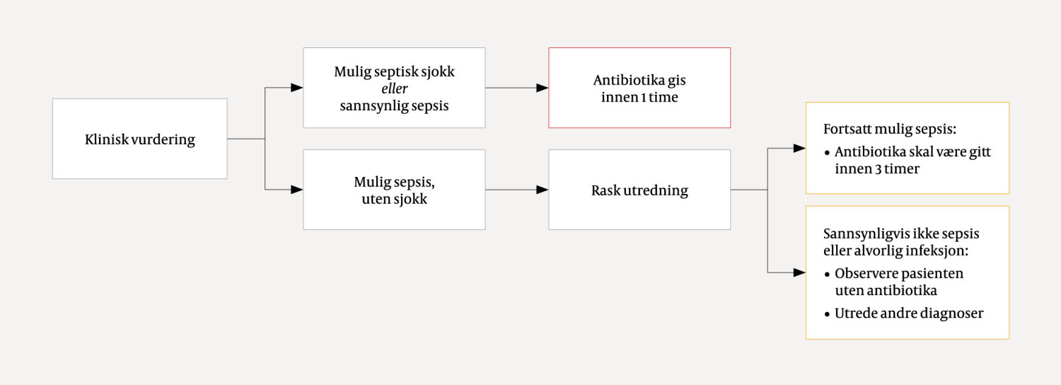 Figur 1 Flytskjema for kategorisering av sepsis og antibiotikabehandling (forfatternes anbefaling).