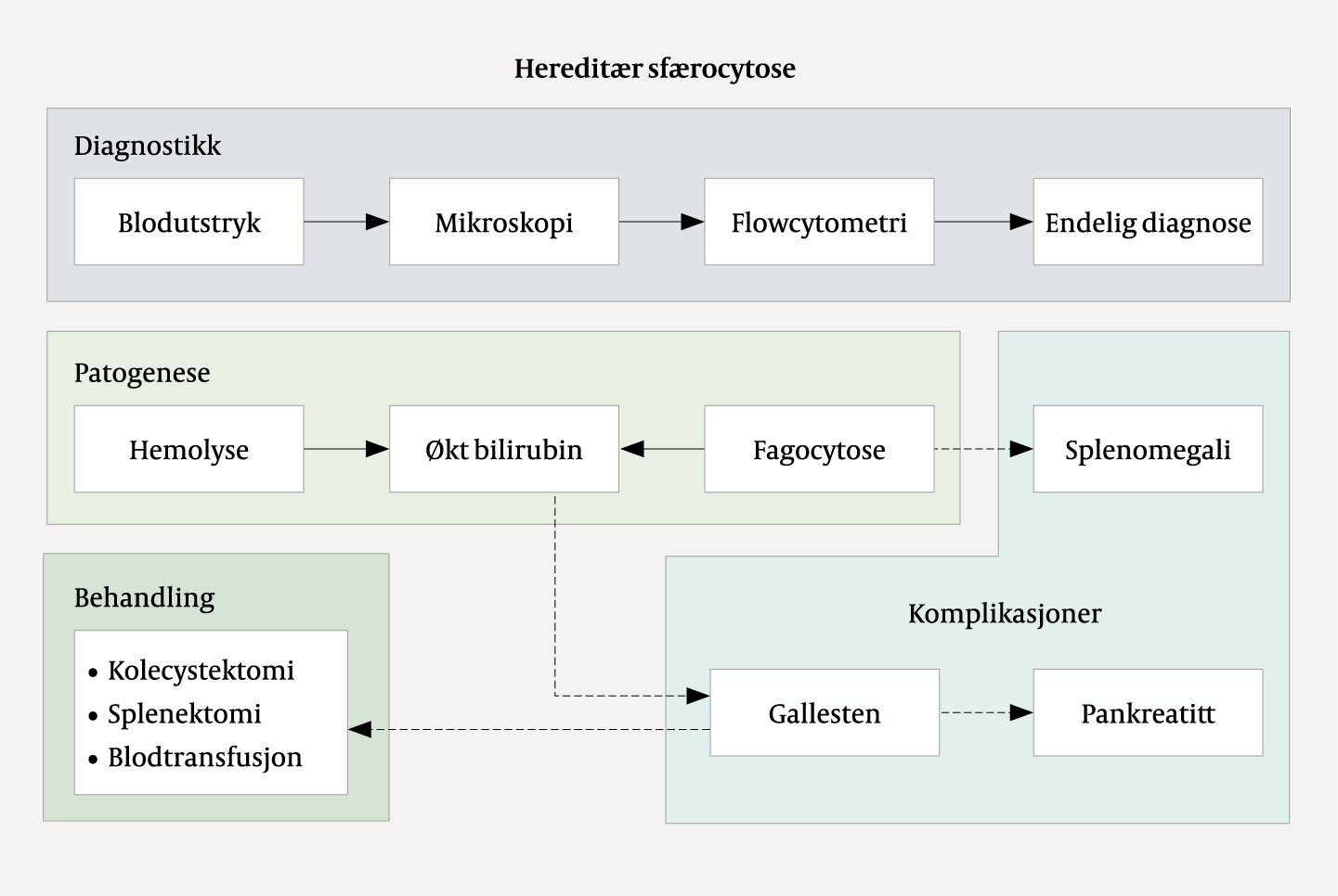 Figur 5 Skjematisk fremstilling av &aring;rsak til og utredning og behandling av gallestenssykdom ved heredit&aelig;r sf&aelig;rocytose.
