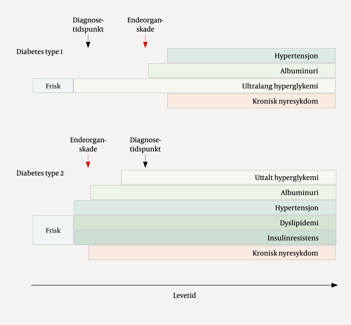 Figur 1 Stilisert fremstilling av utvikling av endeorganskade og kronisk nyresykdom hos pasienter med diabetes type 1 og&hellip;