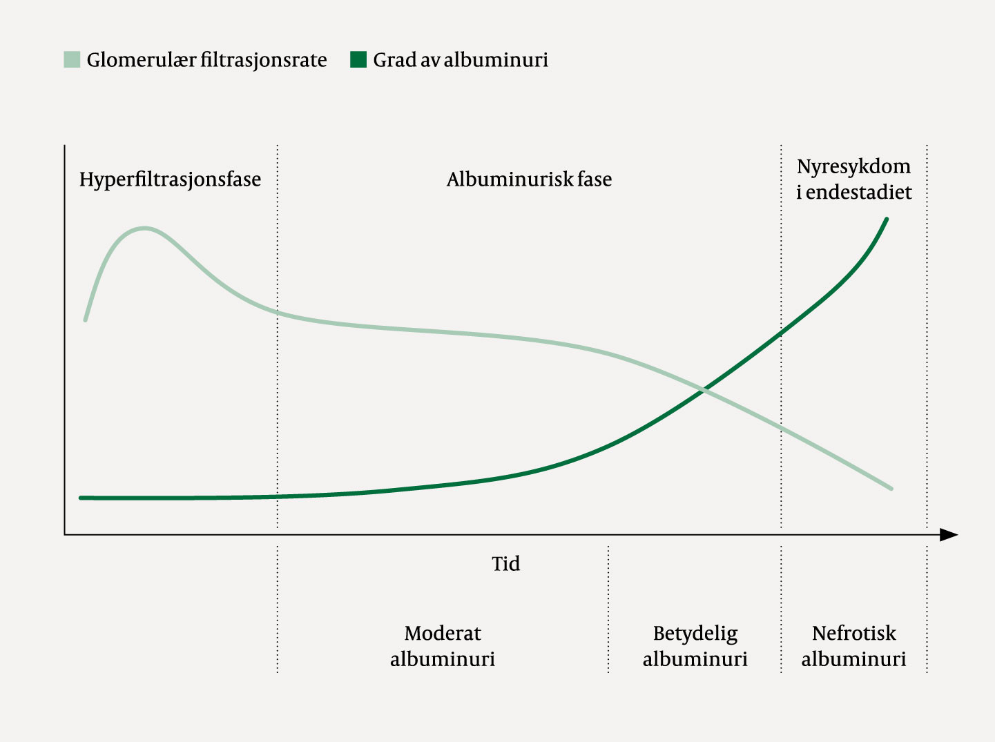 Figur 2 Skjematisk fremstilling av utvikling av glomerul&aelig;r filtrasjonsrate og albuminuri ved progredierende kronisk&hellip;