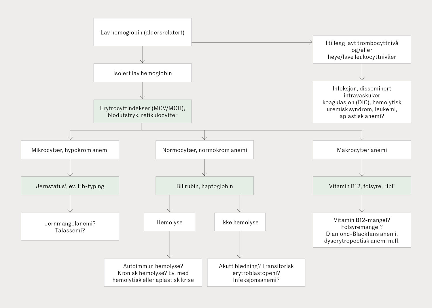 Figur 1 En forenklet oversikt over akutt anemiutredning hos barn. Reprodusert med tillatelse fra forfattere fra&hellip;