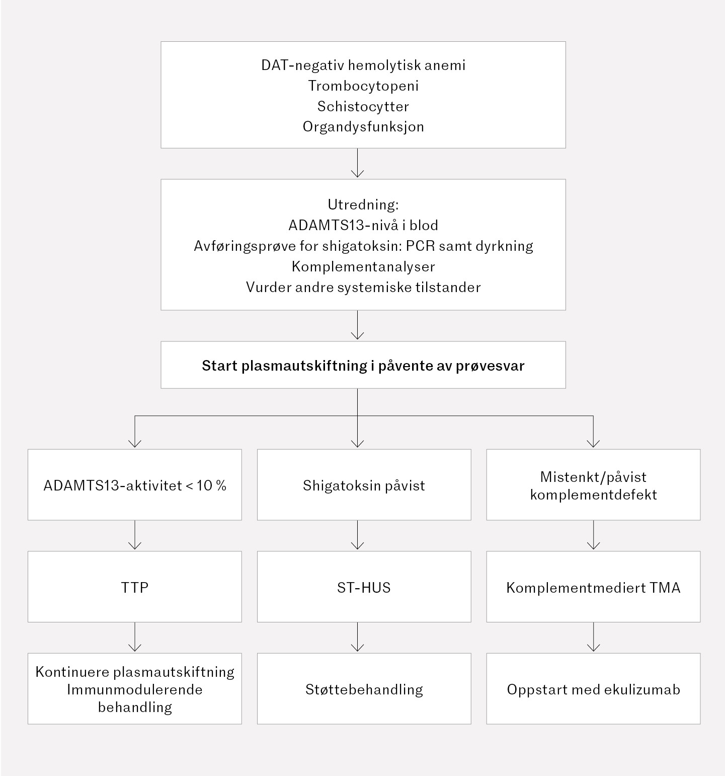 Figur 2 Flytskjema for utredning av trombotisk mikroangiopati (TMA) (2, 3, 12). ADAMTS13 &ndash; a disintegrin and metalloprotease&hellip;