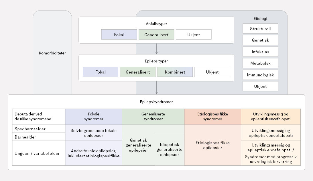 Figur 1 Klassifisering av anfall, epilepsityper, etiologi og epilepsisyndromer (6, 7).
