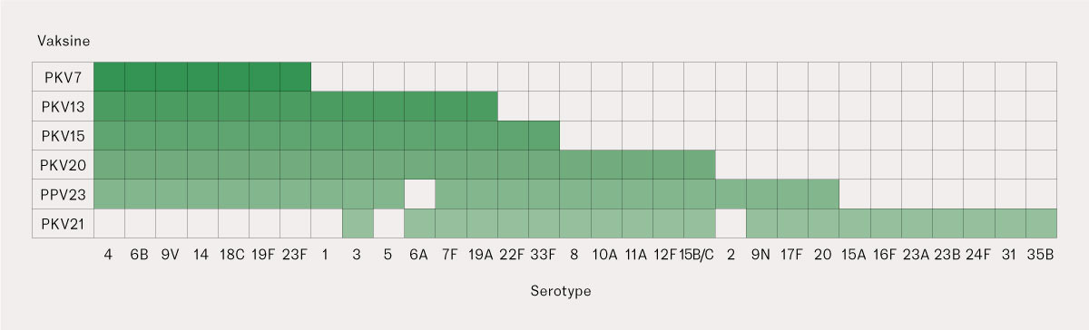Figur 1 Pneumokokkserotyper som inng&aring;r i de ulike vaksinene. Referanselaboratoriet skilte ikke mellom serotype 15B og 15C&hellip;