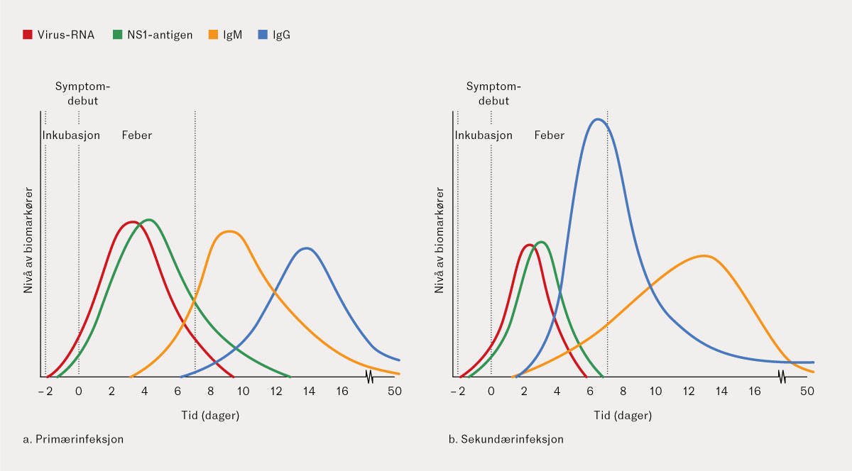 Figur 5 Tidsvindu for ulike diagnostiske tester ved prim&aelig;r og sekund&aelig;r denguevirusinfeksjon.