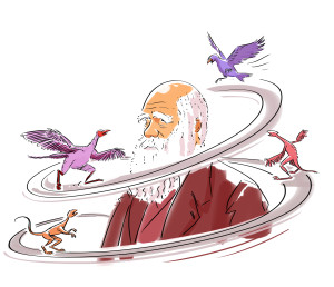 Da Darwin lanserte utviklingsl&aelig;ren, var dette if&oslash;lge vitenskapshistorikeren Thomas S. Kuhn et paradigmeskifte. Uttrykkene&hellip;