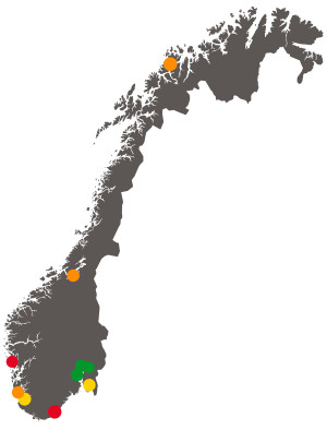 FRA GR&Oslash;NT TIL R&Oslash;DT: Flere store kommuner har rekrutteringsvansker. Ill.: Anne-Lene Molland