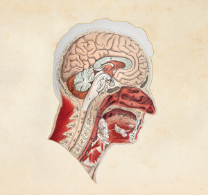 Illustrasjon: Grafissimo/iStock