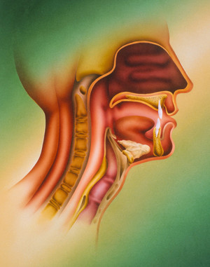 Illustrasjon: Science Photo Library / NTB