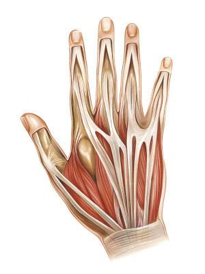 Illustrasjon: Science Photo Library / NTB