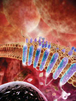 Plasmamembran med G-proteinkoblede reseptorer. Digital illustrasjon: Science Photo Library / NTB