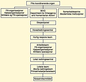  Figur 2    Forslag til organisasjon for internasjonal katastrofehjelp