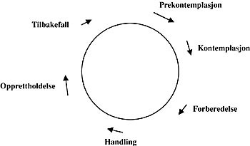 Figur 3  Transteoretisk modell (24)