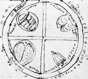 Figur 2  Illustrasjon fra et manuskript fra det 11. &aring;rhundre. Dette er derfor den tidligst kjente illustrasjon av&hellip;