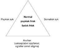 Figur 2  Grensene mellom &rdquo;de normale&rdquo; og &rdquo;de andre&rdquo; i v&aring;rt samfunn