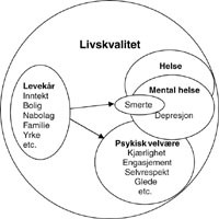 Figur 2   Forholdet mellom betegnelsene &rdquo;levek&aring;r&rdquo;, &rdquo;helse&rdquo; og &rdquo;livskvalitet&rdquo;, slik andre har brukt betegnelsene