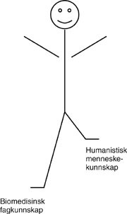 Figur 3   Fremtidens lege: Den store bekymringen