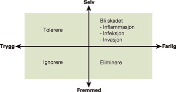 Figur 2  I polariseringen mellom selv og fremmed og knyttet til et erfaringskontinuum fra &laquo;trygt&raquo; til &laquo;farlig&raquo; kan individet&hellip;