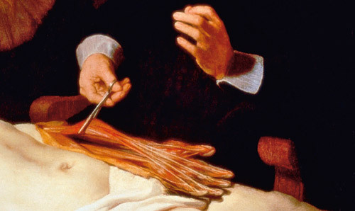 Figure 3  Painting close-up detail with the dissected left upper extremity. Using forceps, Dr Tulp is lifting up the&hellip;