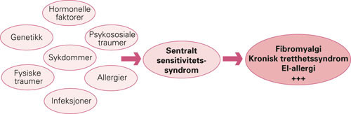 Figur 2  Sentralt sensitivitetssyndrom