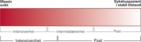 Figur 1  Forhold mellom grad av kritisk sykdom og niv&aring; for behandling. Intermedi&aelig;renheter vil kunne avlaste b&aring;de&hellip;