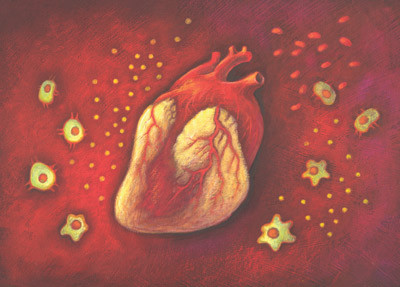 Illustrasjon Stein L&oslash;ken