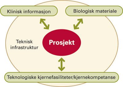 Figur 1  Sammenheng mellom biologisk materiale (biobank), helsedata, teknisk infrastruktur og forskning (10)