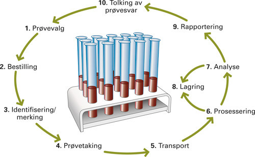 Figur 3  Prosesser knyttet til innsamling, h&aring;ndtering, analyse og lagring av humant biologisk materiale, basert p&aring; rapport&hellip;