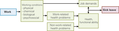 Figure 1  Simple model showing the relationship between work and sick leave