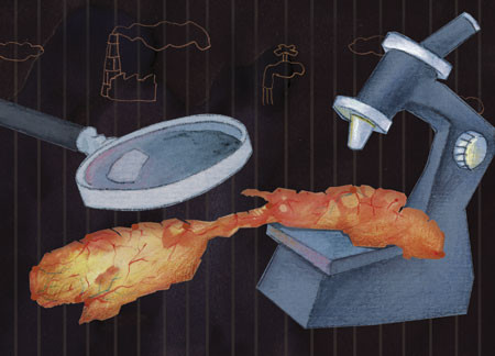 Illustrasjon Stein L&oslash;ken