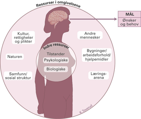 Figur 1  Mennesket i et evneperspektiv. Personen ses i et relasjonelt spenn mellom kropp, mental utrustning og indre&hellip;