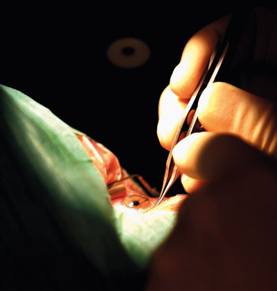 Illustrasjonsfoto SCANPIX