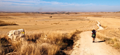 &Aring; g&aring; over den spanske h&oslash;ysletten (mesetaen) tar flere dager. Denne delen av turen kan v&aelig;re en pr&oslash;velse for sjelen &ndash; et stort&hellip;