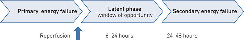 Figure 1  The three metabolic phases after perinatal asphyxia. The secondary energy failure with subsequent damage can be&hellip;