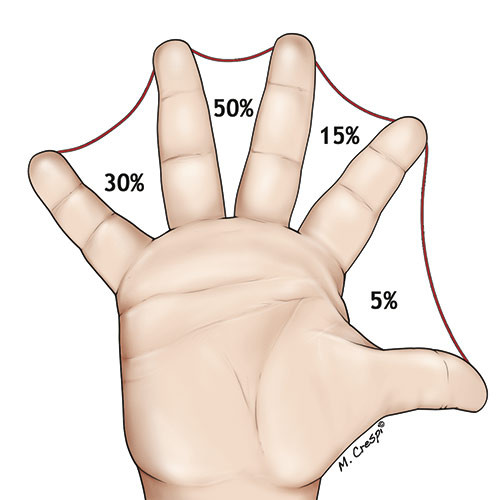 Figure 1  Schematic representation of involved web spaces (8)