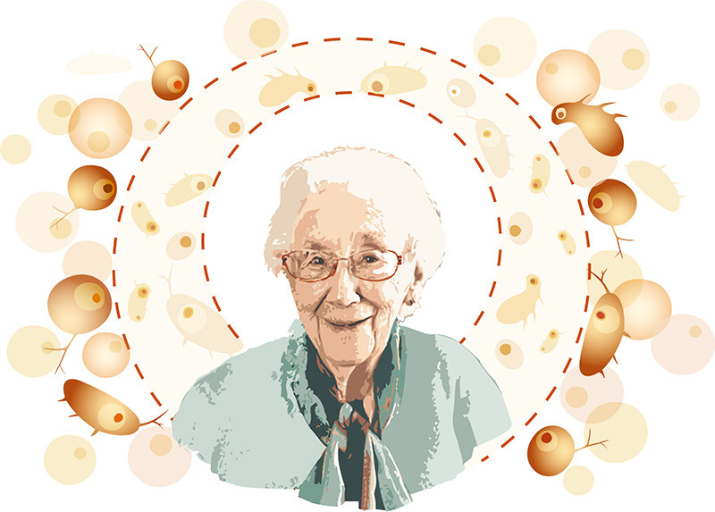 Illustrasjon &copy; Stein L&oslash;ken