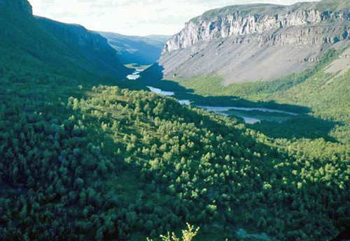 Sautso, Nordeuropas st&oslash;rste canyon sett fra kraftverket. Altaelva. Foto Finnmark legeforening