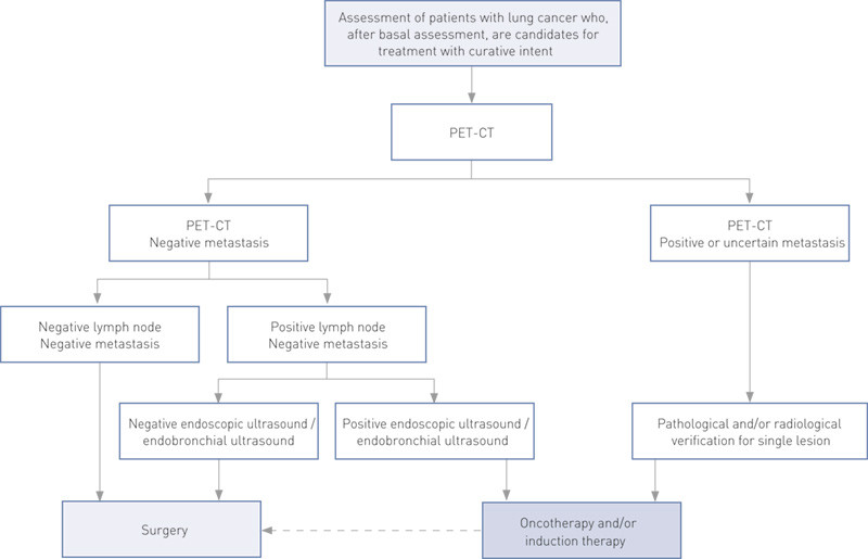 Figure 2  Algorithm for assessment of lung cancer using PET-CT at Rikshospitalet