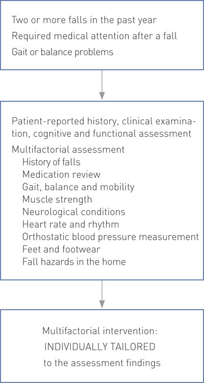 Figure 1  Algorithm for assessment of fall risk in the elderly (modified from the guidelines of the American Geriatrics&hellip;