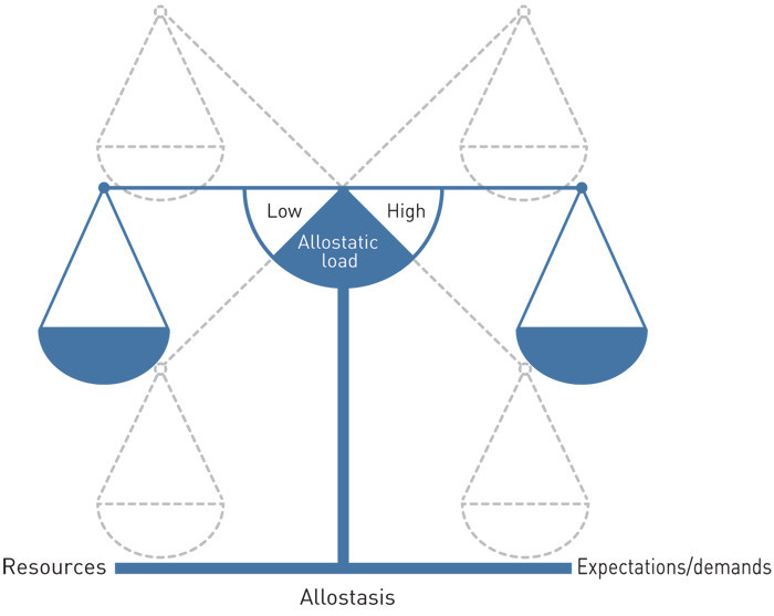 Figure 2  Health as allostasis: model for the individual&rsquo;s coping, measured by examining allostatic load (stress activation)&hellip;