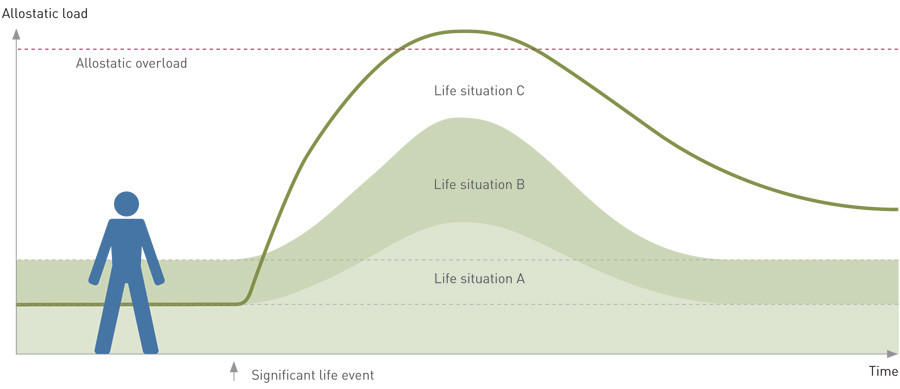 Figure 3  Model for narrative script: the individual&rsquo;s learned self-regulation of allostatic load. A, B and C are three&hellip;
