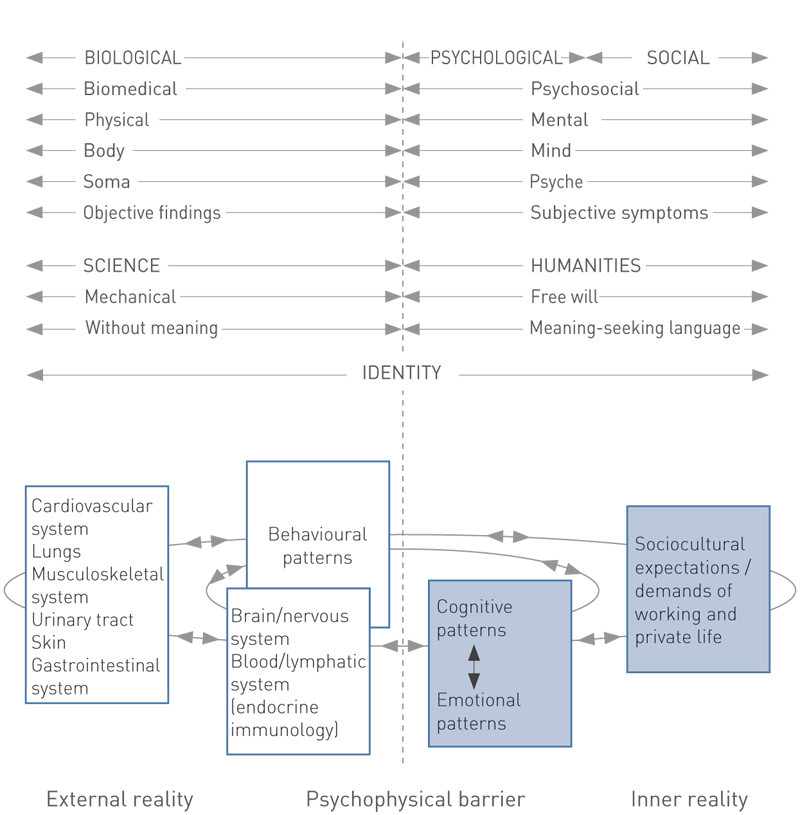 Figure 4  Integrated understanding of subjective disorders: stress and coping are integrated in a biopsychosocial model of&hellip;